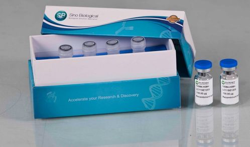 義翹神州以研發(fā)驅(qū)動(dòng)業(yè)績(jī)快速成長(zhǎng),產(chǎn)品深受?chē)?guó)際認(rèn)可 需求旺盛